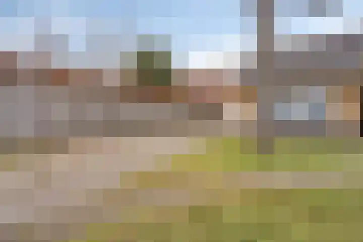 Pastoor Kuijpersstraat 3 Bergen op Zoom thumbnail 6