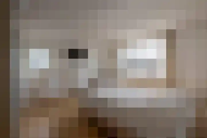 Pastoor Kuypersstraat 34 Waalwijk thumbnail 19