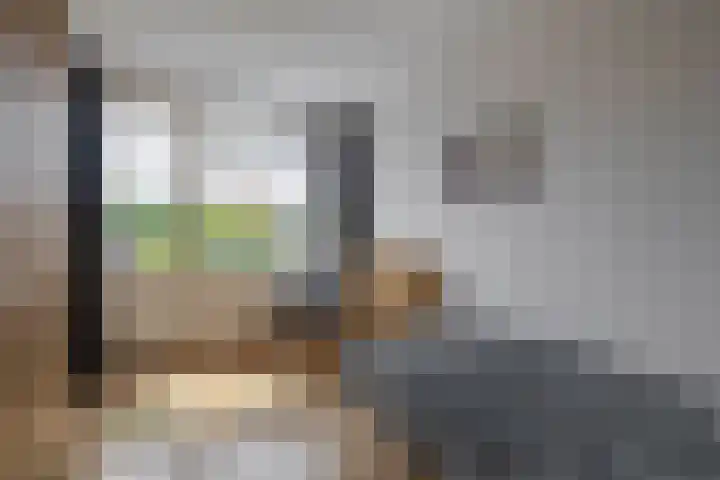Pastoor Kuypersstraat 34 Waalwijk thumbnail 25