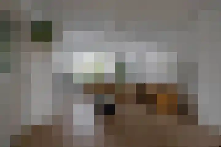 Pastoor Kuypersstraat 34 Waalwijk thumbnail 6