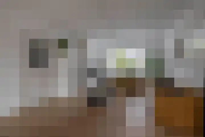 Pastoor Kuypersstraat 34 Waalwijk thumbnail 7