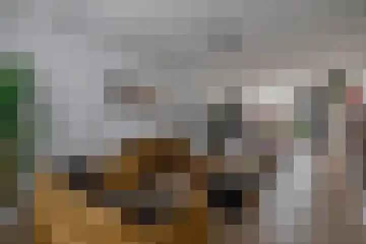 Pastoor Kuypersstraat 34 Waalwijk thumbnail 8