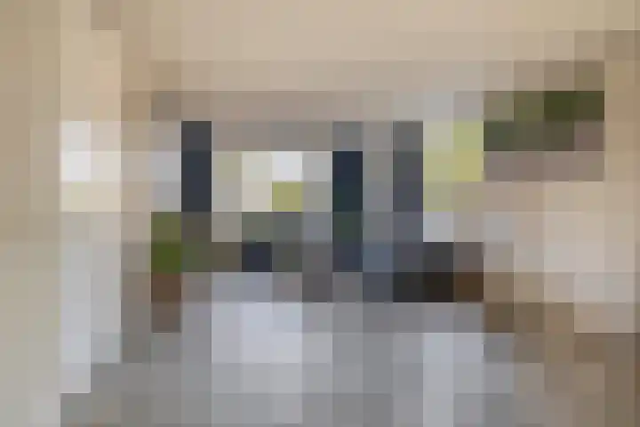 Pastoor Kuypersstraat 36 Waalwijk thumbnail 11