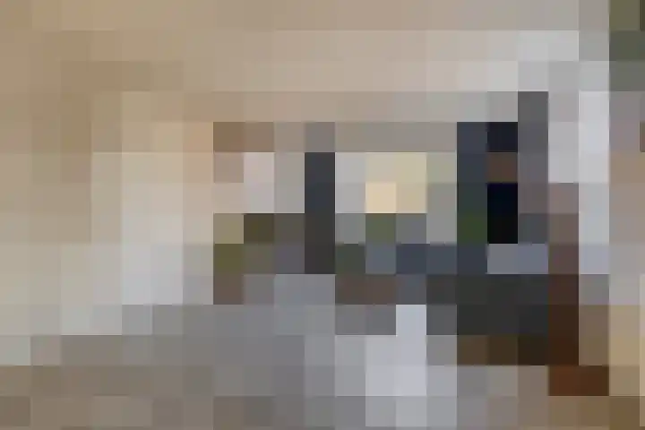 Pastoor Kuypersstraat 36 Waalwijk thumbnail 12