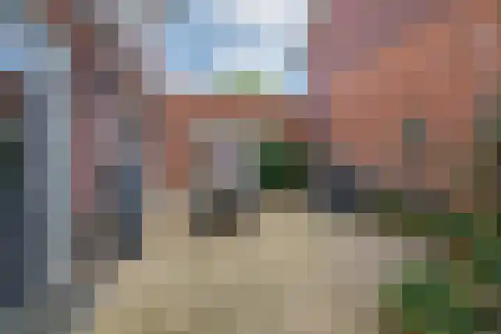 Pastoor Kuypersstraat 36 Waalwijk thumbnail 22