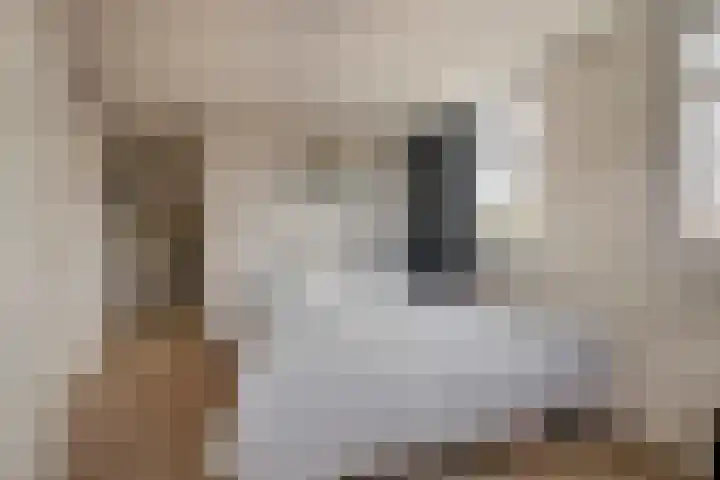 Pastoor Kuypersstraat 36 Waalwijk thumbnail 34