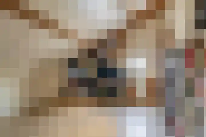Pastoor Kuypersstraat 36 Waalwijk thumbnail 38
