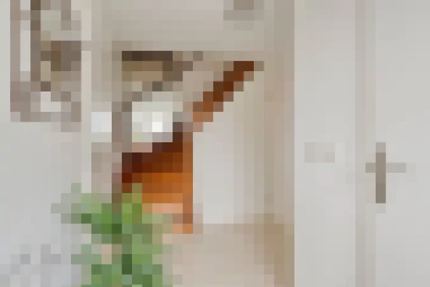 Pastoor Kwakmanlaan 4 Rijpwetering thumbnail 10