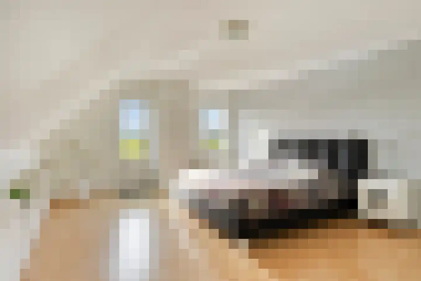 Pastoor Kwakmanlaan 4 Rijpwetering thumbnail 13
