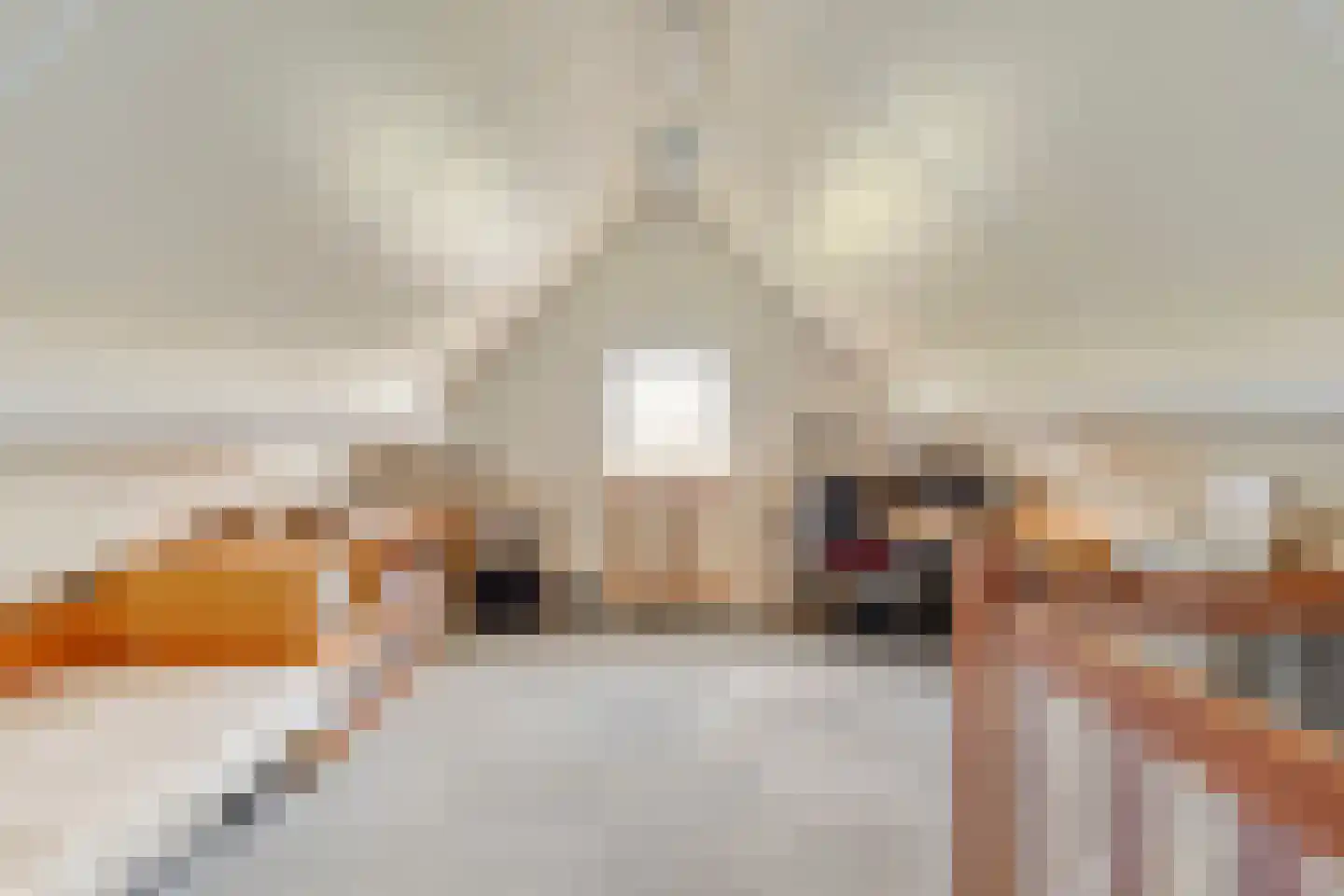 Pastoor Kwakmanlaan 4 Rijpwetering thumbnail 18