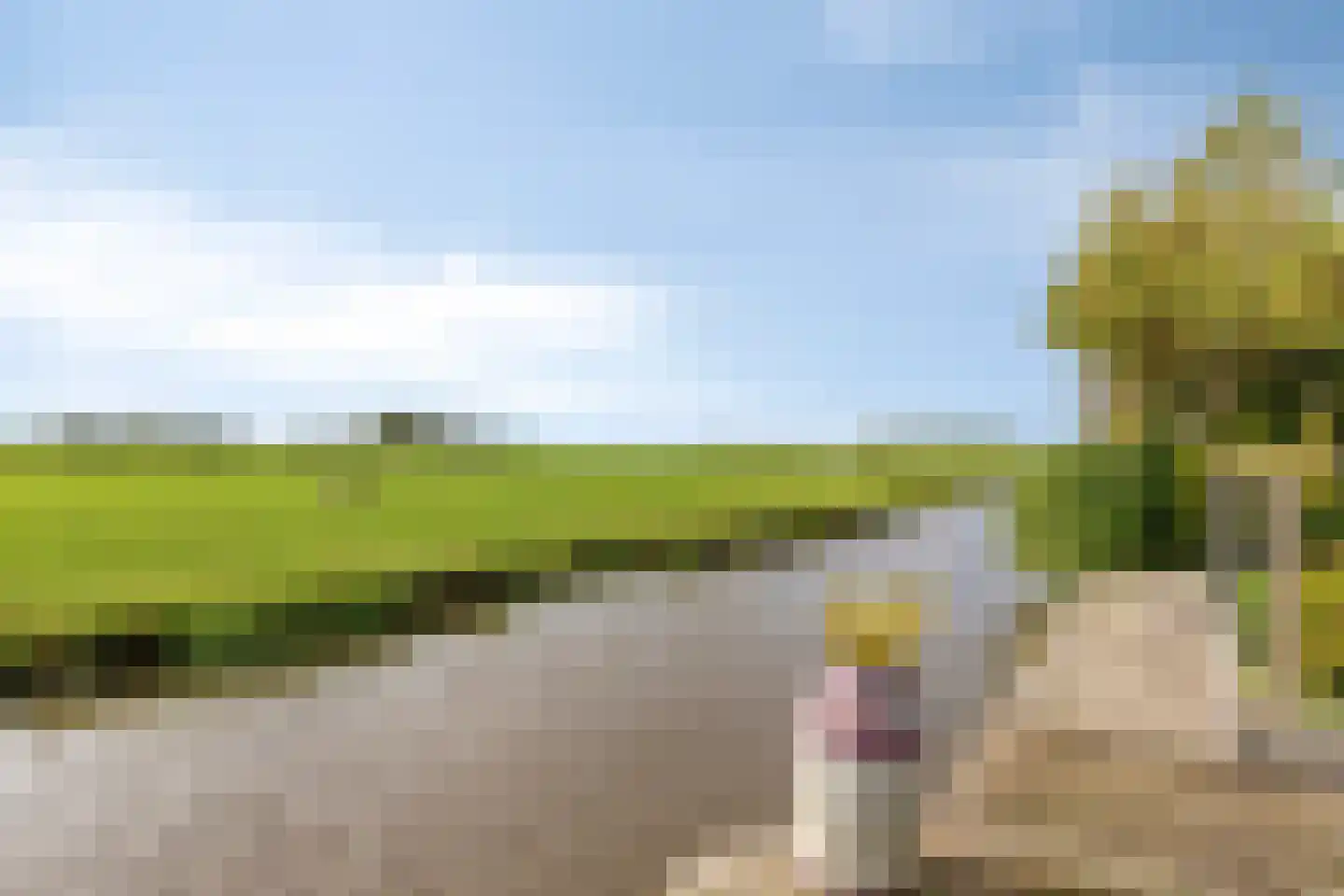 Pastoor Kwakmanlaan 4 Rijpwetering thumbnail 4