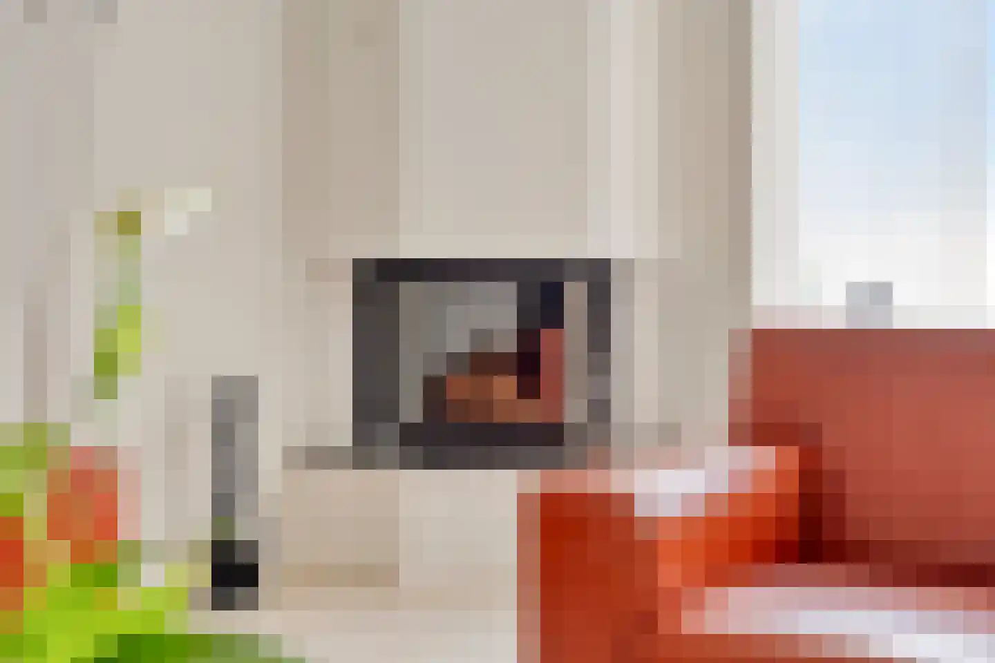 Pastoor Kwakmanlaan 4 Rijpwetering thumbnail 6