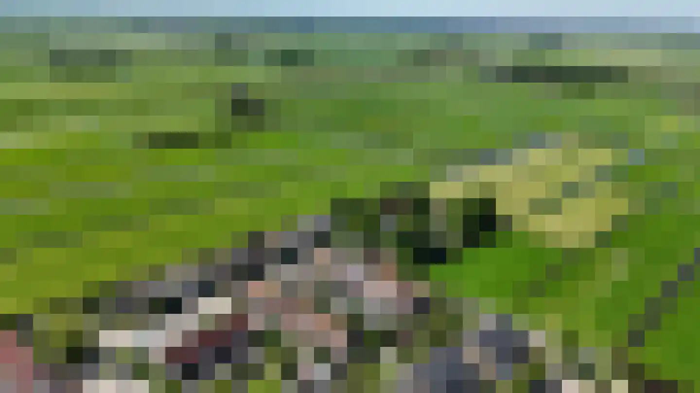 Pastoor Kwakmanlaan 5 Rijpwetering thumbnail 6