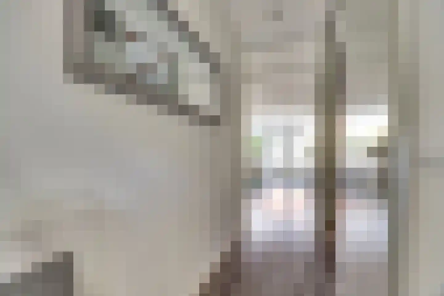 Pastoor Kwakmanlaan 81 Rijpwetering thumbnail 10