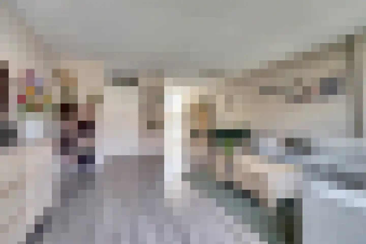 Pastoor Kwakmanlaan 81 Rijpwetering thumbnail 12