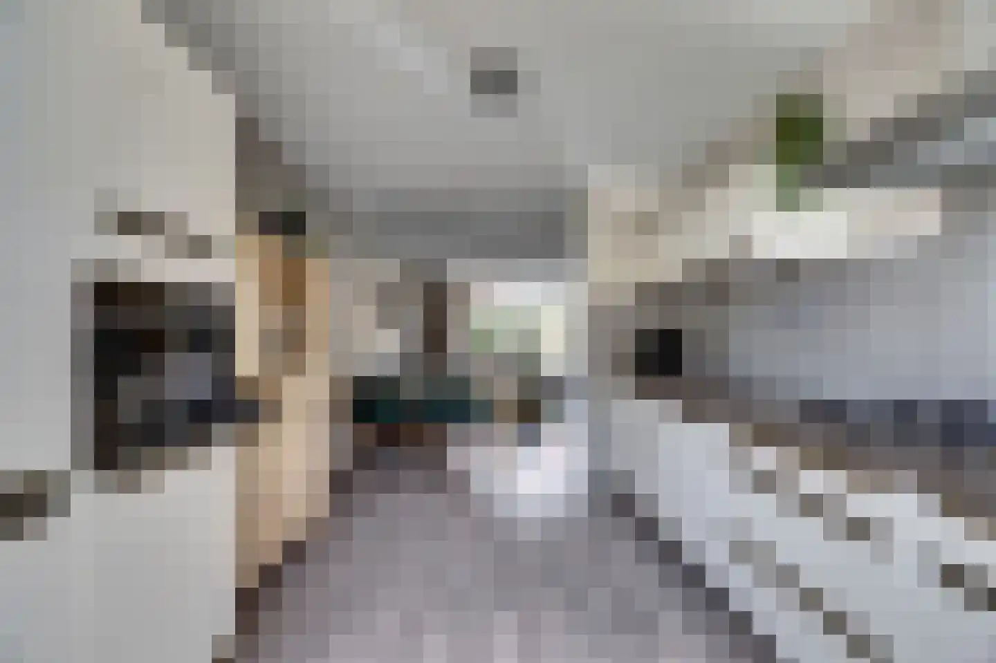 Pastoor Kwakmanlaan 81 Rijpwetering thumbnail 14