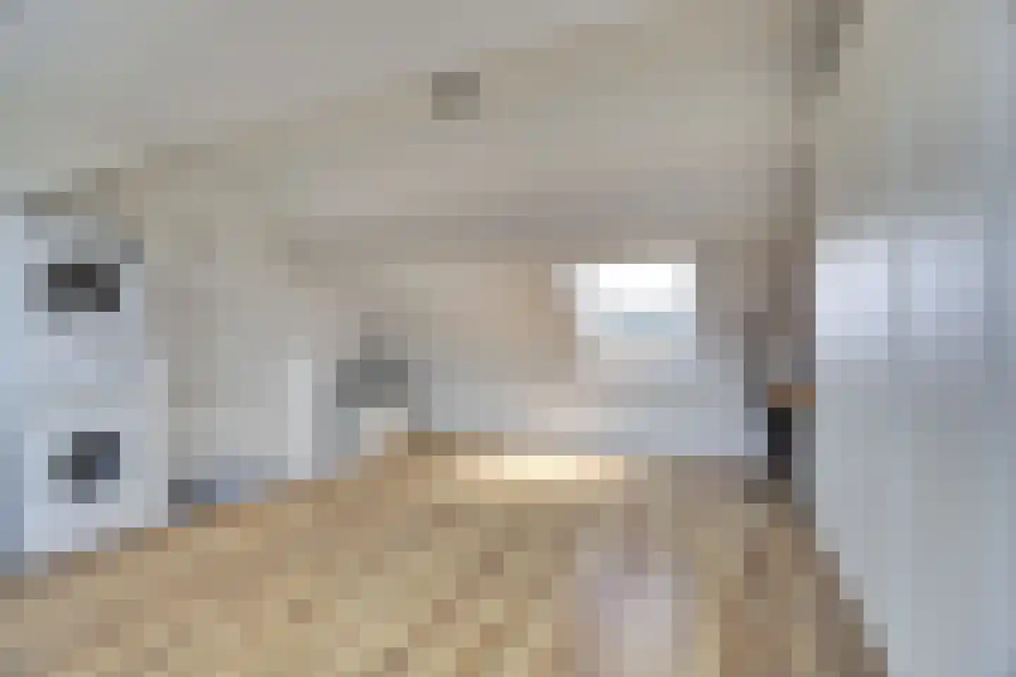 Pastoor Kwakmanlaan 81 Rijpwetering thumbnail 33