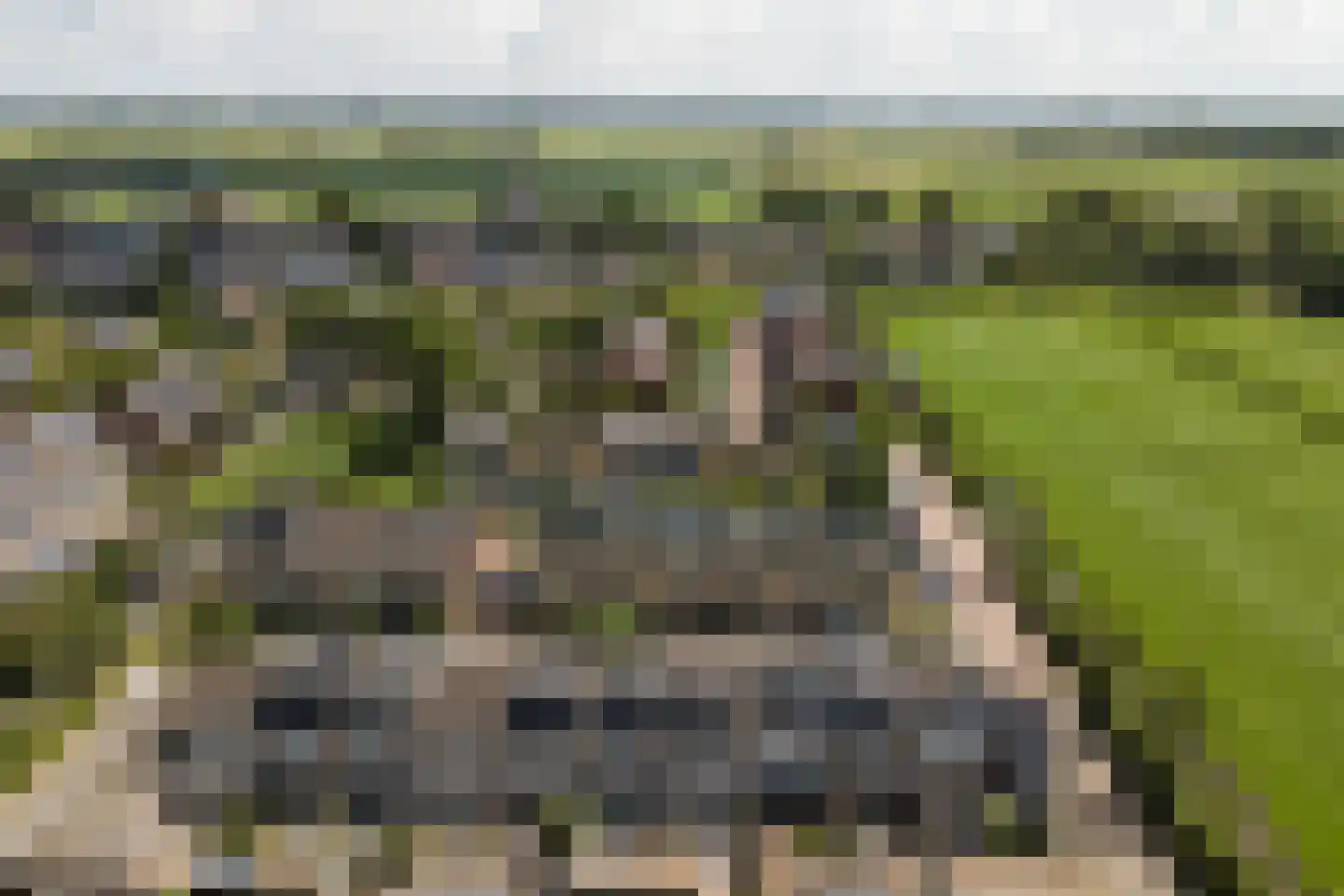 Pastoor Kwakmanlaan 81 Rijpwetering thumbnail 39