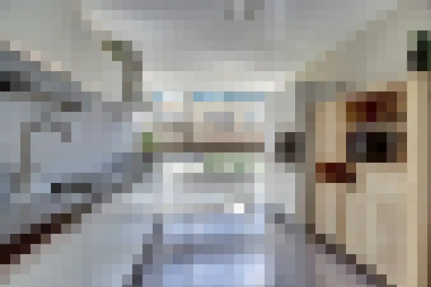 Pastoor Kwakmanlaan 81 Rijpwetering thumbnail 5