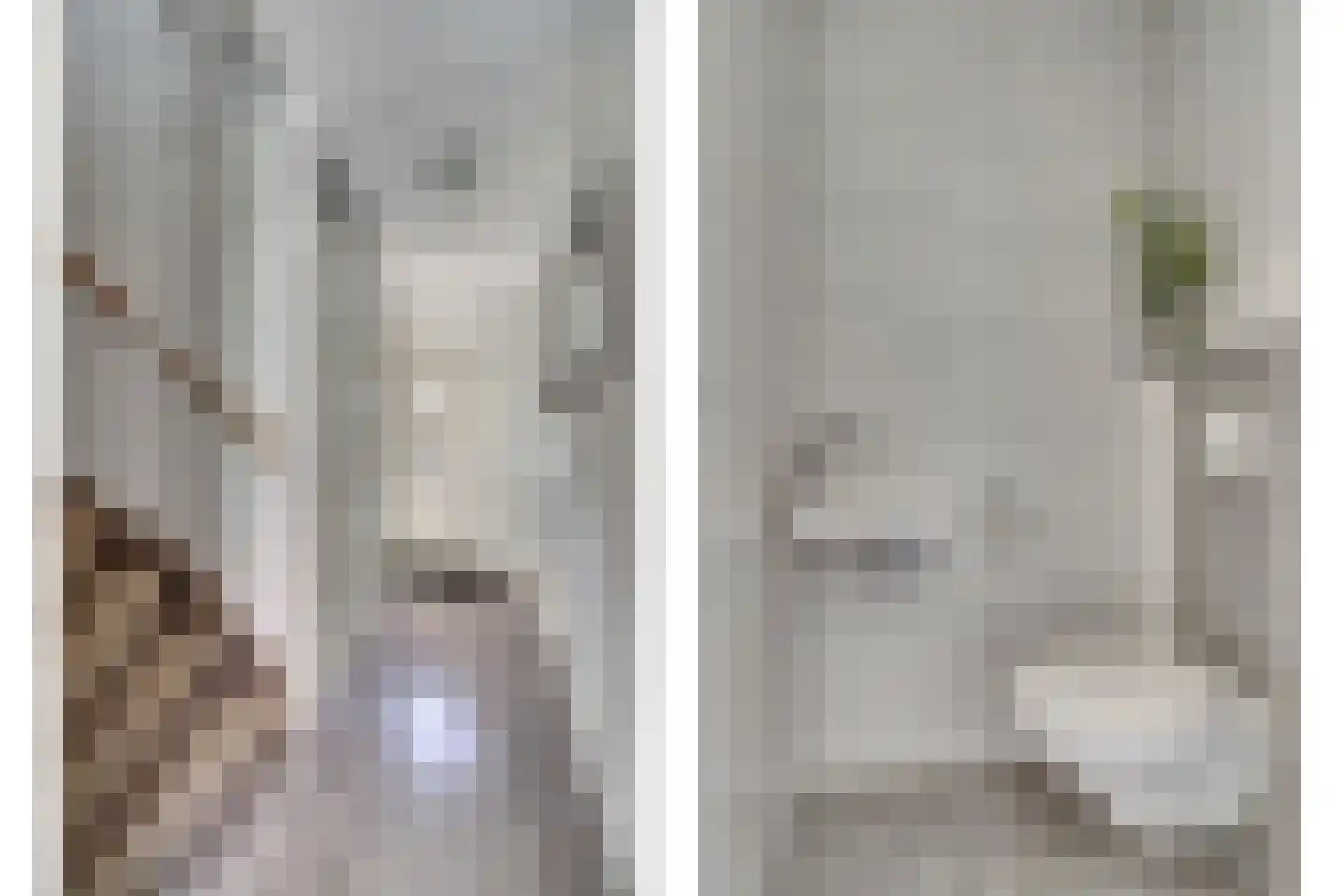 Pastoor Kwakmanlaan 81 Rijpwetering thumbnail 8