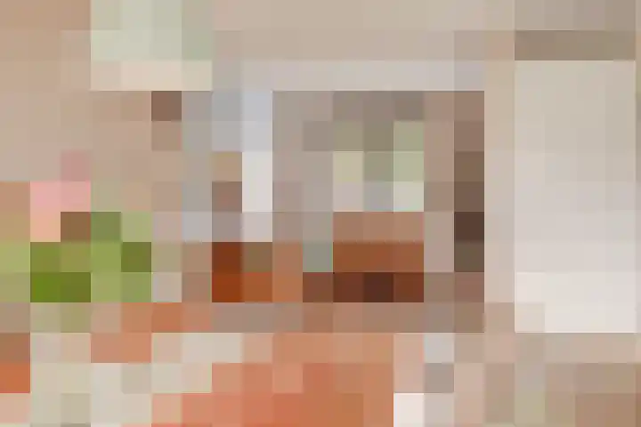 Pastoor Lambermontstraat 10 Appeltern thumbnail 12