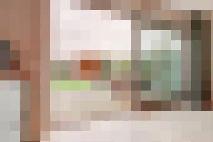 Pastoor Lambermontstraat 10 Appeltern thumbnail 16