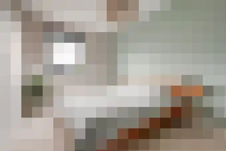Pastoor Lambermontstraat 10 Appeltern thumbnail 21