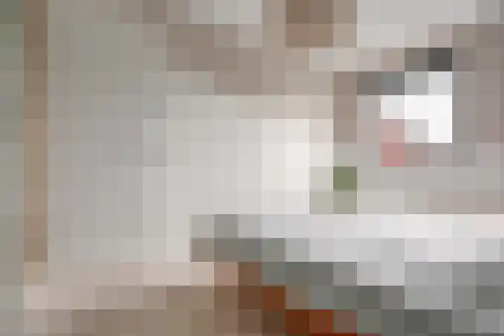 Pastoor Lambermontstraat 10 Appeltern thumbnail 22