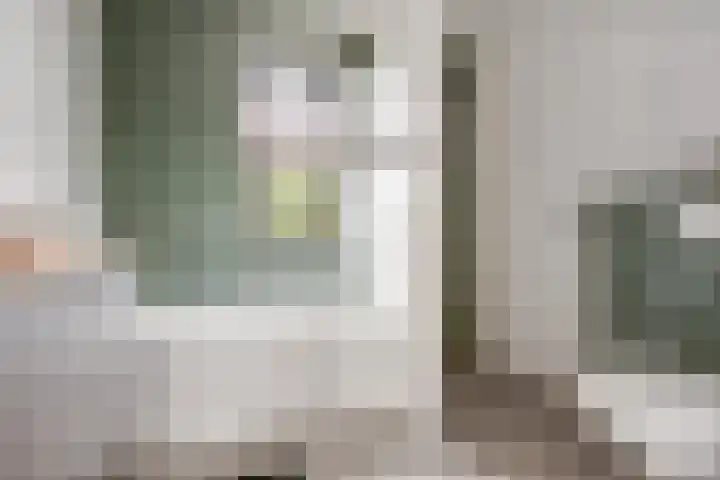 Pastoor Lambermontstraat 10 Appeltern thumbnail 28