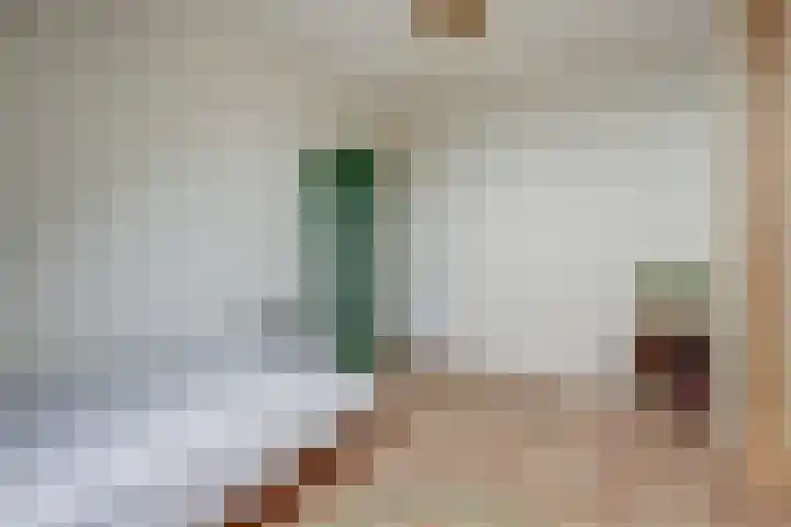Pastoor Lambermontstraat 10 Appeltern thumbnail 34