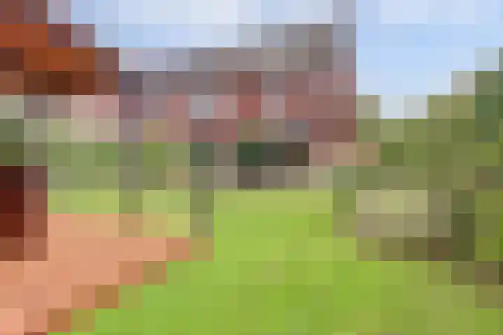 Pastoor Lambermontstraat 10 Appeltern thumbnail 37