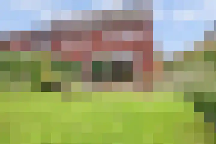 Pastoor Lambermontstraat 10 Appeltern thumbnail 39