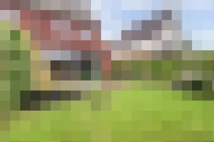Pastoor Lambermontstraat 10 Appeltern thumbnail 40