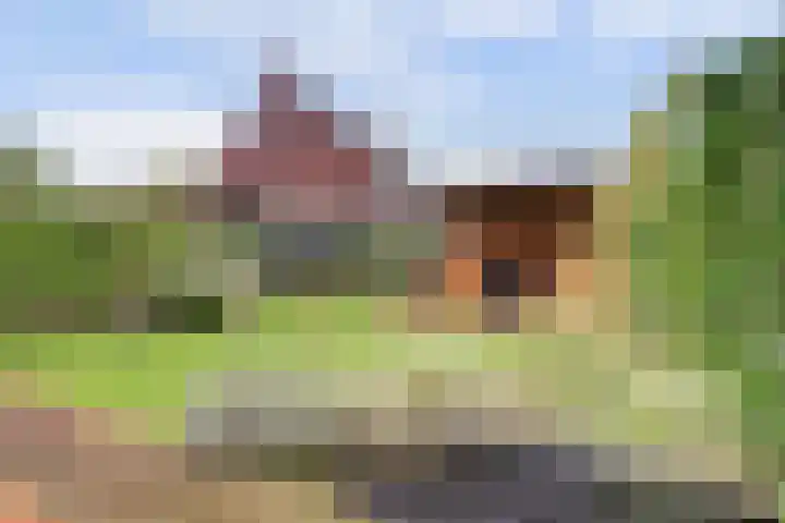 Pastoor Lambermontstraat 10 Appeltern thumbnail 41