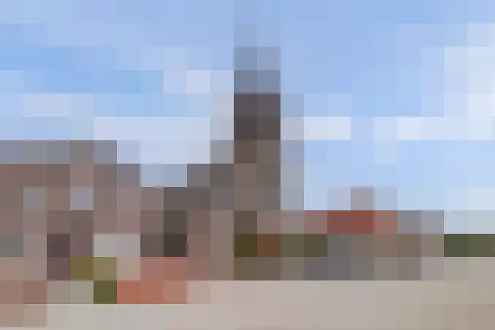 Pastoor Lambermontstraat 10 Appeltern thumbnail 51