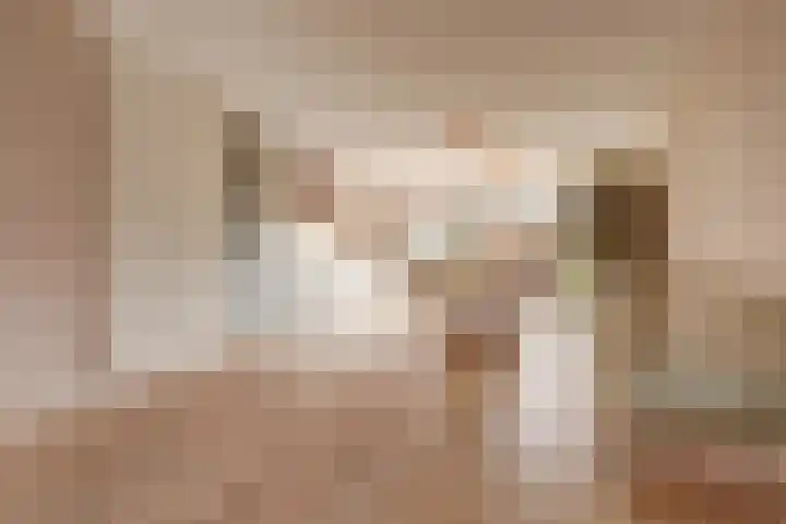 Pastoor Lambermontstraat 10 Appeltern thumbnail 6