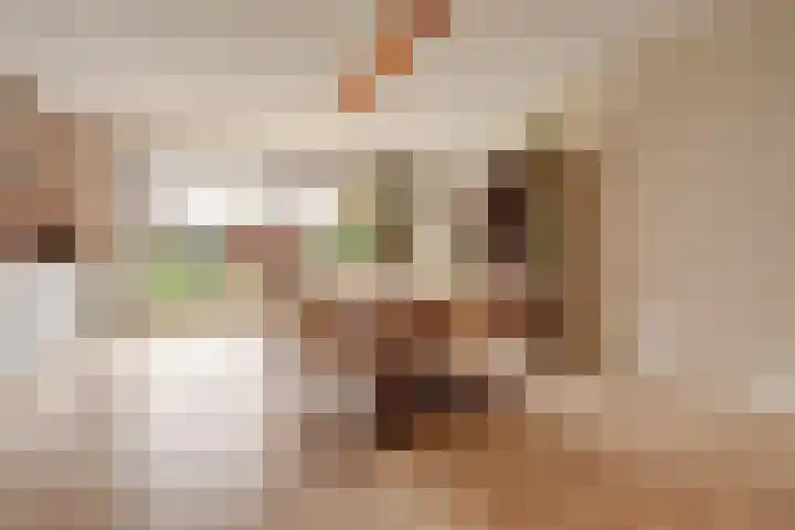 Pastoor Lambermontstraat 10 Appeltern thumbnail 8