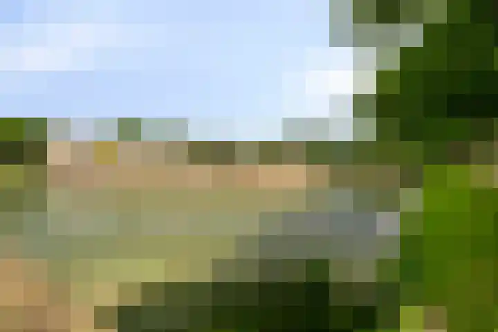 Pastoor Lancrietstraat 19 Bergen op Zoom thumbnail 69