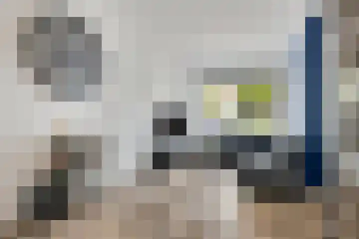 Pastoor Lancrietstraat 19 Bergen op Zoom thumbnail 8