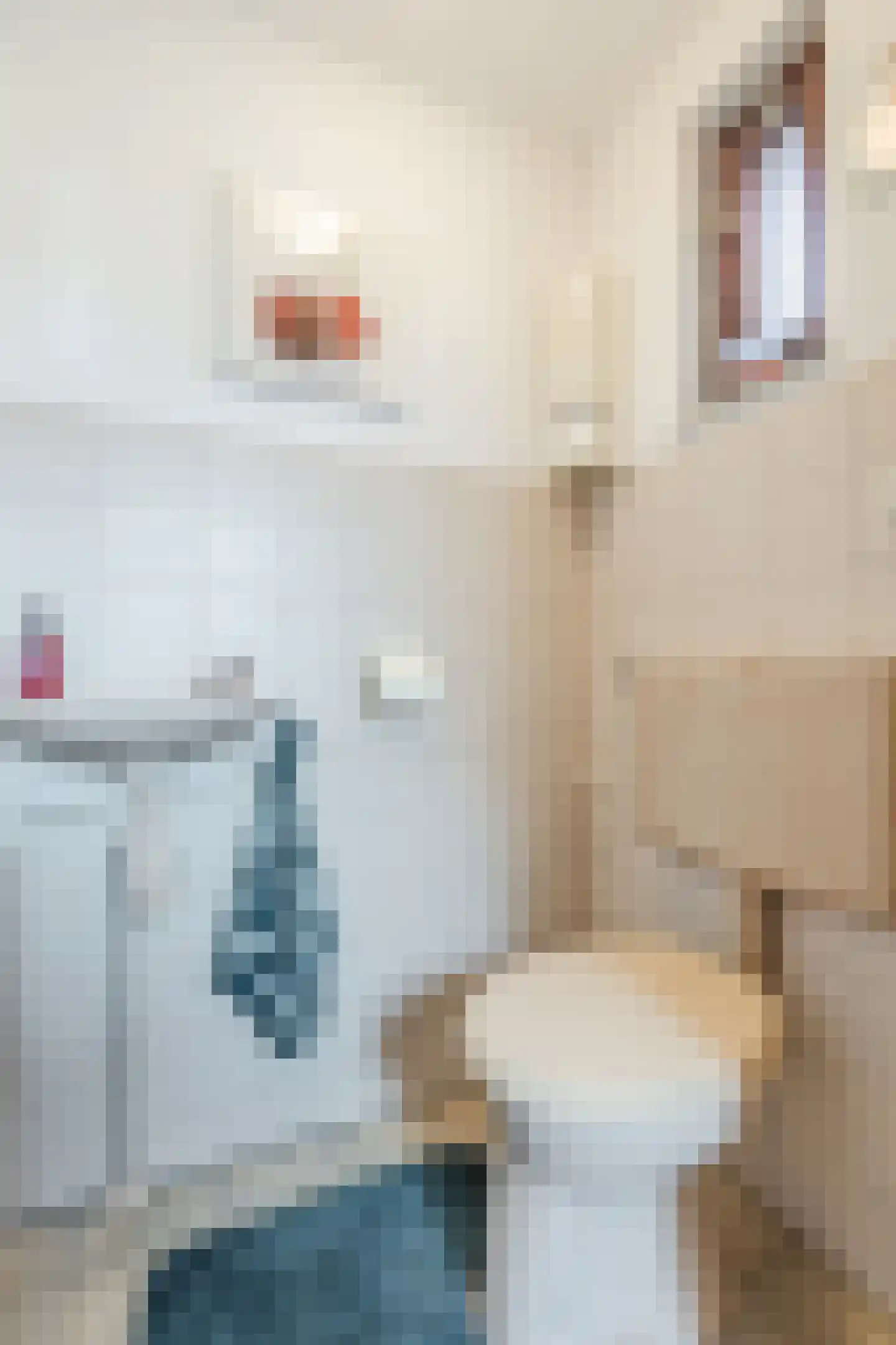Pastoor Leijtenstraat 4 Bavel thumbnail 13