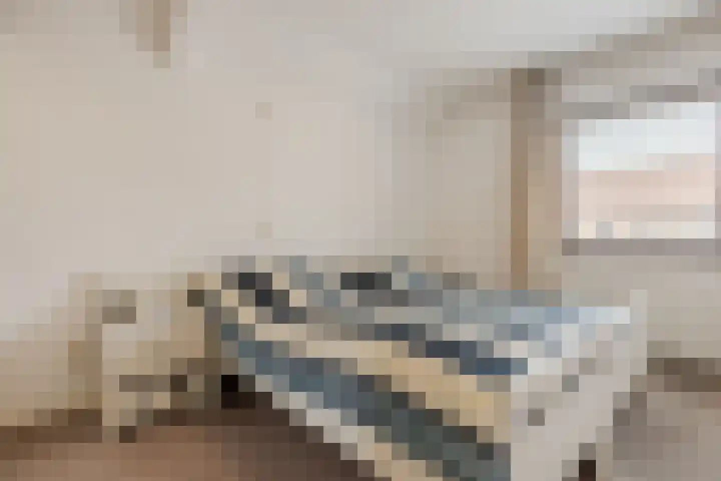 Pastoor Leijtenstraat 4 Bavel thumbnail 14