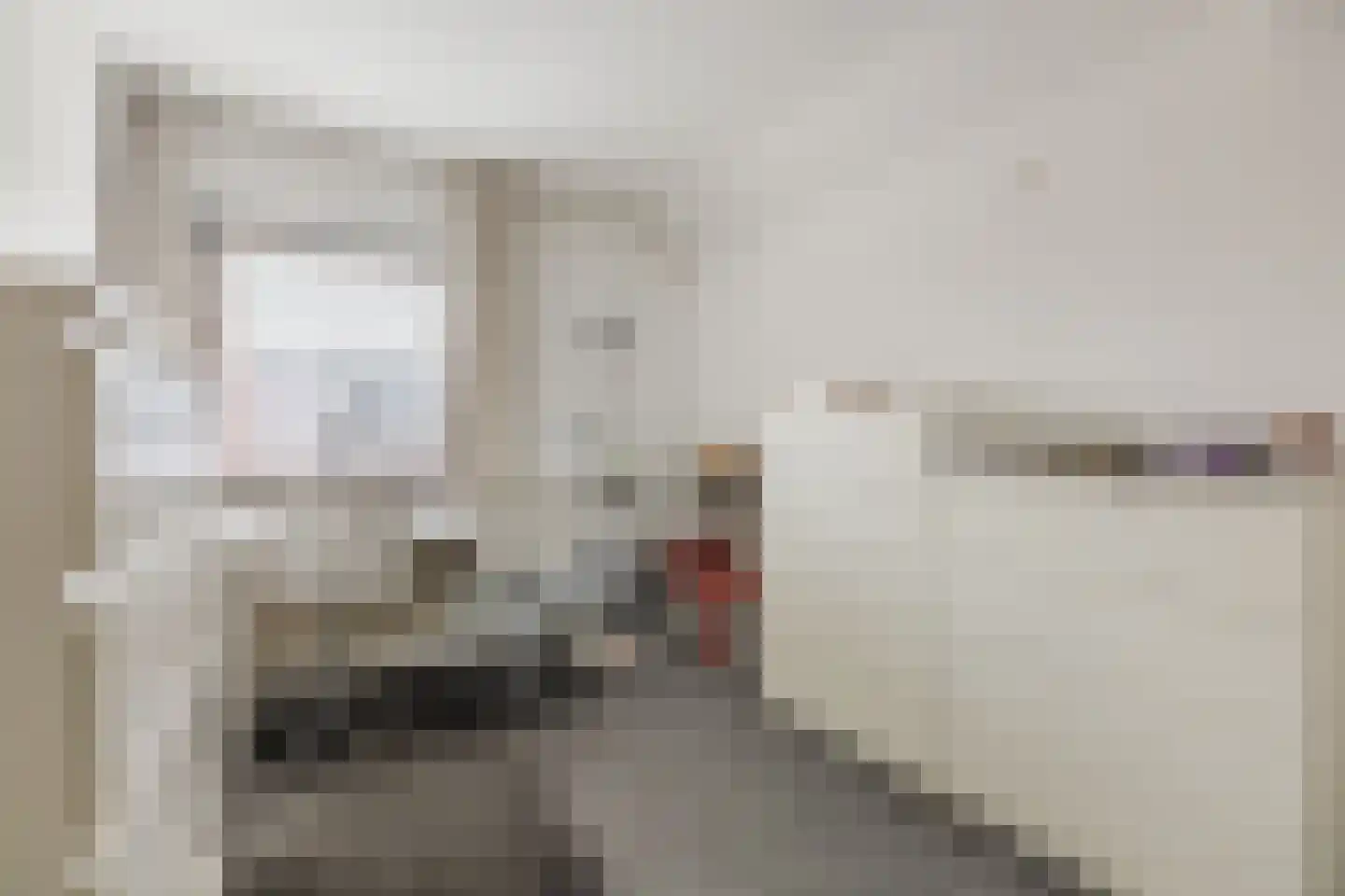 Pastoor Leijtenstraat 4 Bavel thumbnail 16