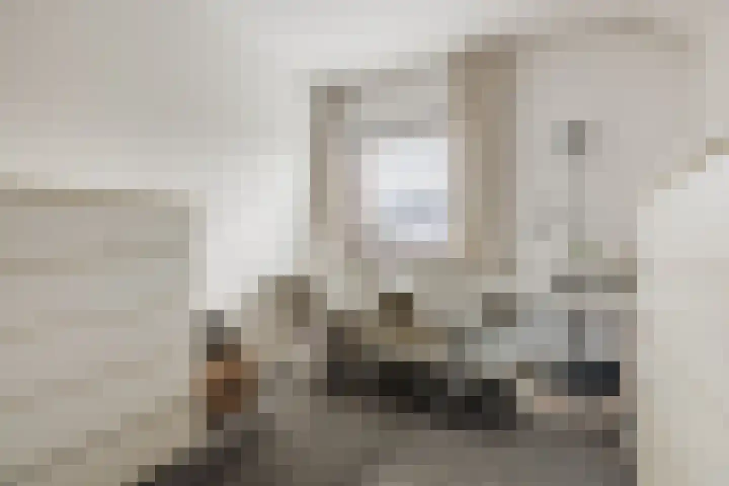 Pastoor Leijtenstraat 4 Bavel thumbnail 17