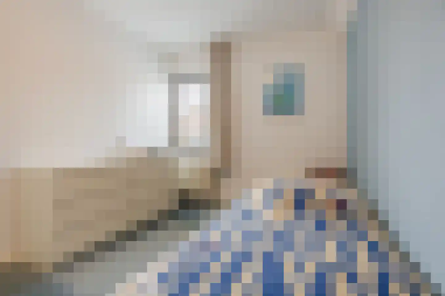 Pastoor Leijtenstraat 4 Bavel thumbnail 19