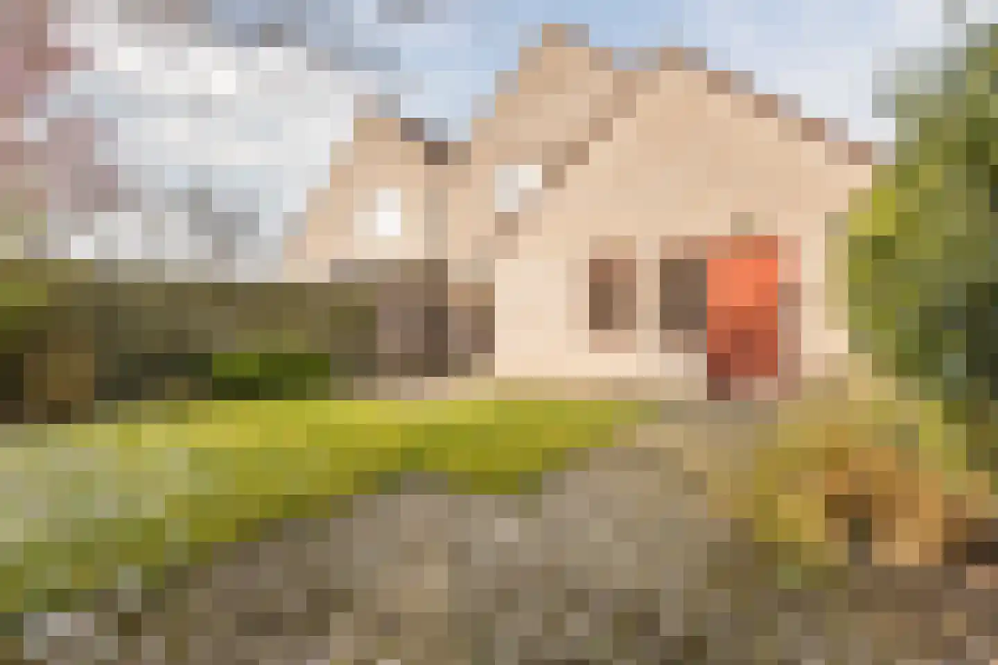 Pastoor Leijtenstraat 4 Bavel thumbnail 23