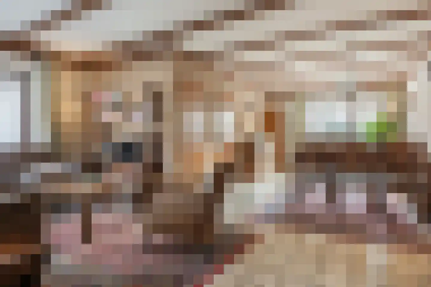 Pastoor Leijtenstraat 4 Bavel thumbnail 5