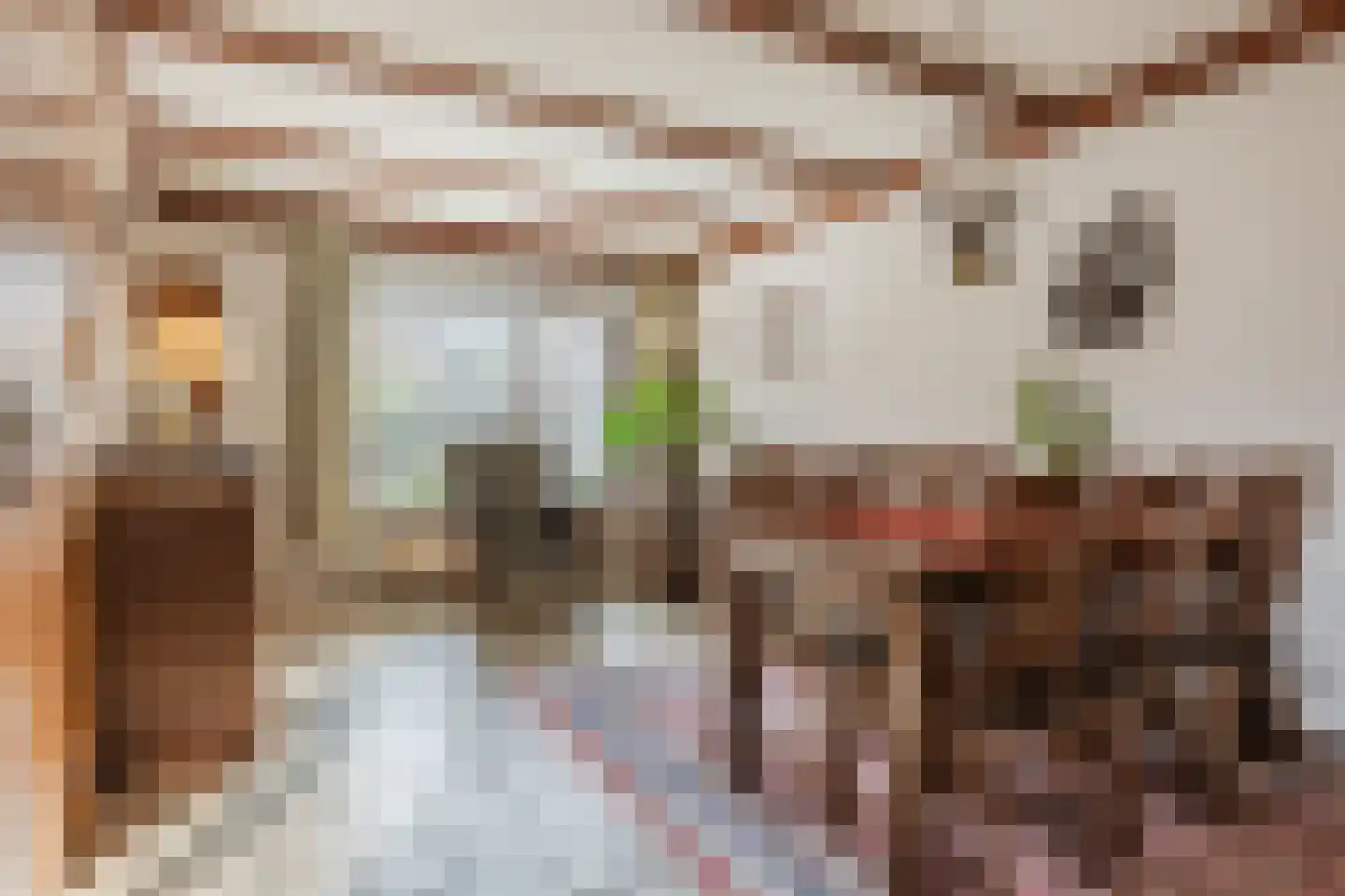 Pastoor Leijtenstraat 4 Bavel thumbnail 7