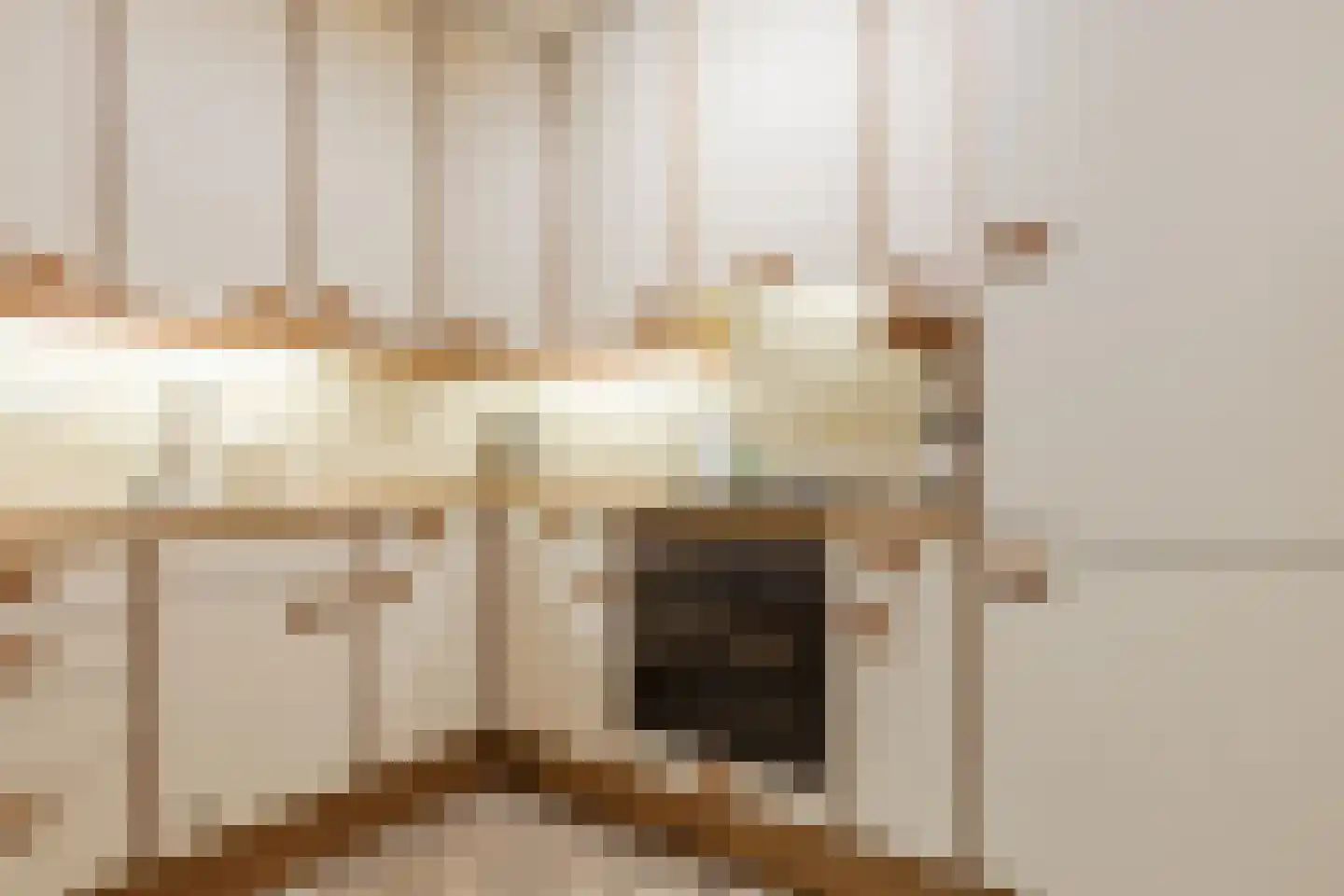 Pastoor Leijtenstraat 4 Bavel thumbnail 9