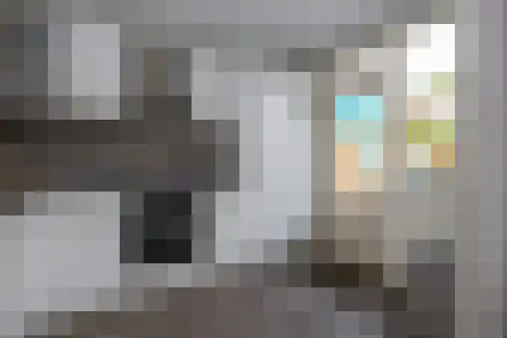 Pastoor Lemeerstraat 48 De Goorn thumbnail 15