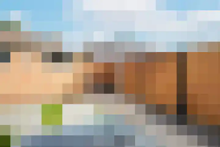 Pastoor Lemeerstraat 48 De Goorn thumbnail 41